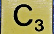 The Three C's of Successful Training Organizations